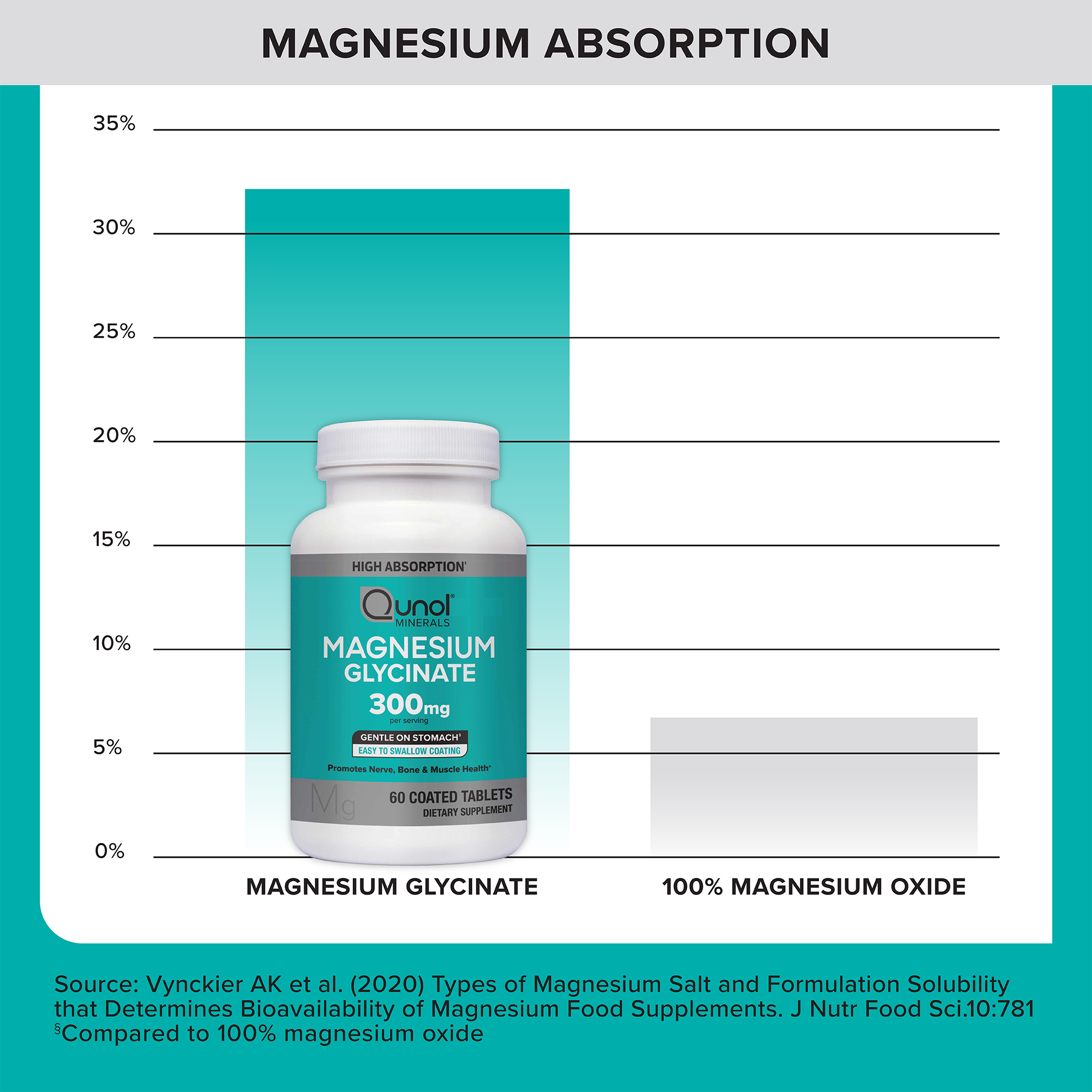 Magnesium Absorption