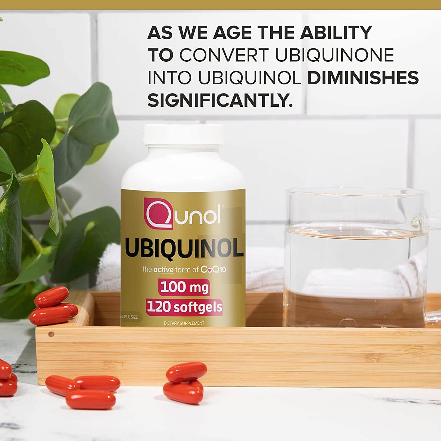 As we age the ability to convert ubiquinone into ubiquinol diminishes significantly